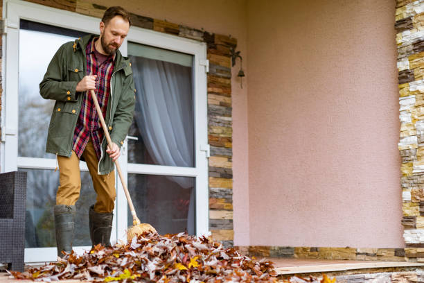 Best Junk Hauling Services  in Novi, MI