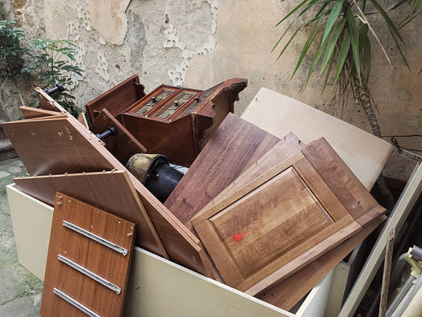Best Yard Cleanup Services  in Novi, MI